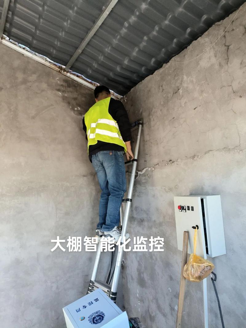 大棚智能化监控摄像头,海康威视摄像机#智能化弱电工程 #海康